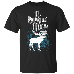 BASEBALL - Patronus T Shirt & Hoodie