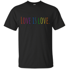 LGBT - Love is love love T Shirt & Hoodie