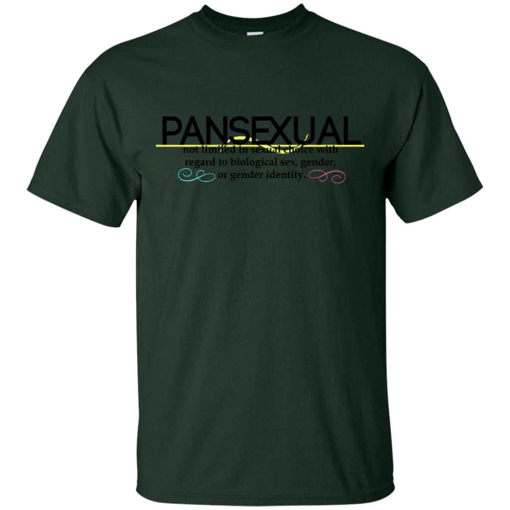 LGBT - Pansexual Definition pansexual T Shirt & Hoodie