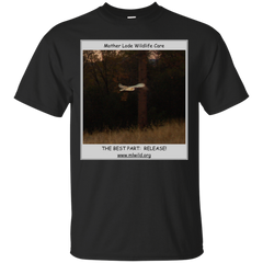 BARN - Barn Owl Release T Shirt & Hoodie