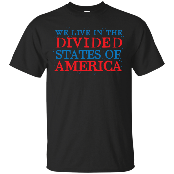 AMERICA - we live in the divided states of america T Shirt & Hoodie