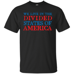 AMERICA - we live in the divided states of america T Shirt & Hoodie