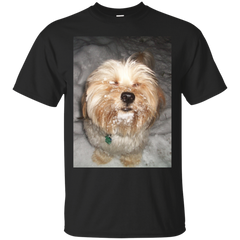 BENJI - Benji The Dog T Shirt & Hoodie