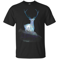 CHAMBER OF SECRETS - PATRONUM T Shirt & Hoodie