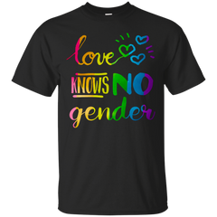 LGBT - Love Knows No Gender LGBT Pride lgbt T Shirt & Hoodie