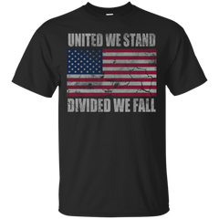 AMERICA - America United We Stand Divided We Fall T Shirt & Hoodie