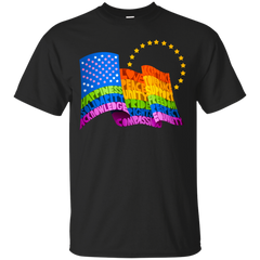 AMERICAN FLAG - United States Of Equality T Shirt & Hoodie