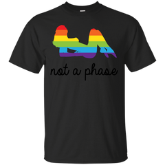 LGBT - Not A Phase LGBT Pride lgbt T Shirt & Hoodie