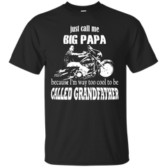 Biker - BIKER BIG PAPA T Shirt & Hoodie
