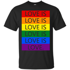 LGBT -  hamilton T Shirt & Hoodie