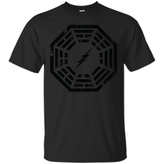 BARRY ALLEN - The Lightning Bolt T Shirt & Hoodie
