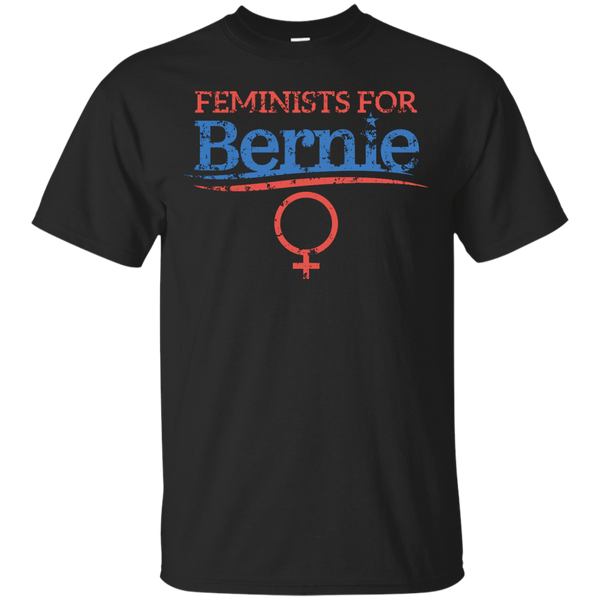 LGBT - Feminists For Bernie presidential election T Shirt & Hoodie