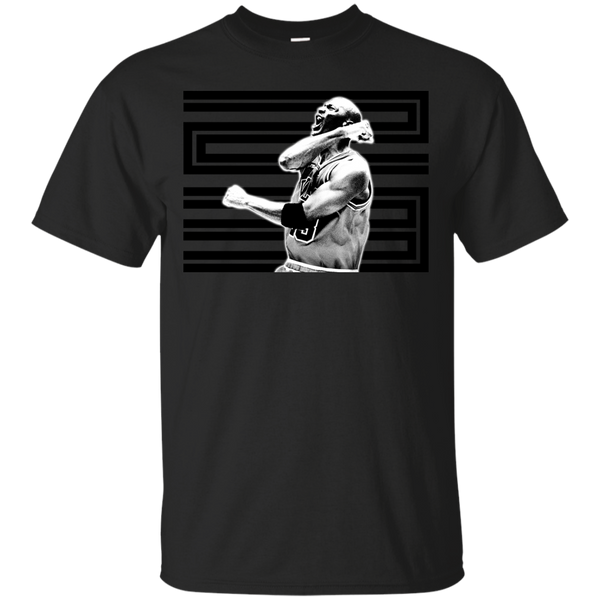 AIR JORDAN - 23  Triump BW T Shirt & Hoodie