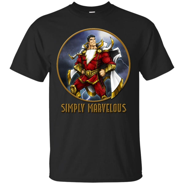 DCCOMICS - SIMPLY MARVELOUS T Shirt & Hoodie