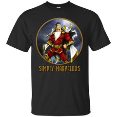 DCCOMICS - SIMPLY MARVELOUS T Shirt & Hoodie