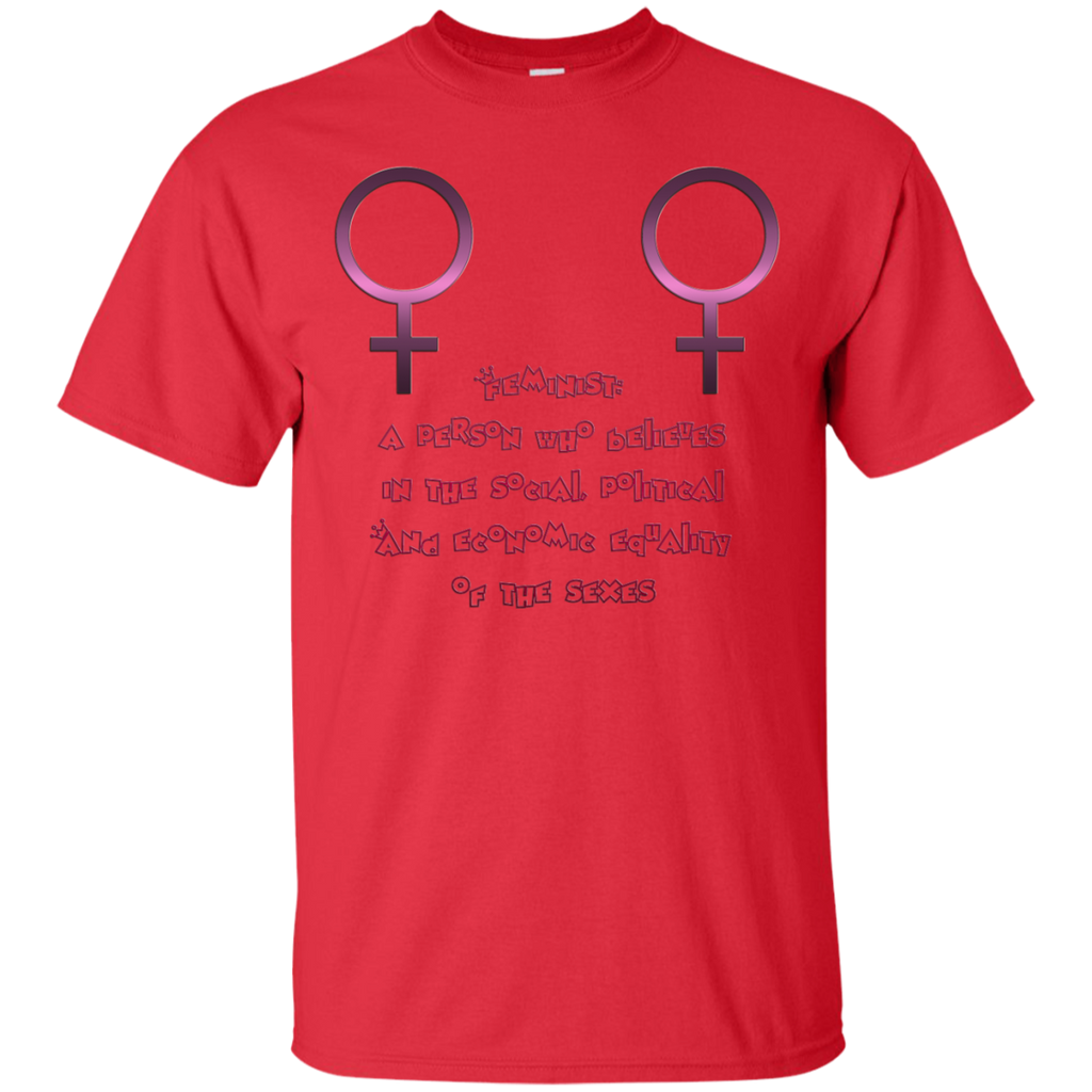LGBT - Feminist a person who believes in the social political And economic equality of the sexes beyonce feminist T Shirt & Hoodie
